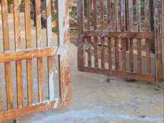 Ảnh bìa bài viết 870260