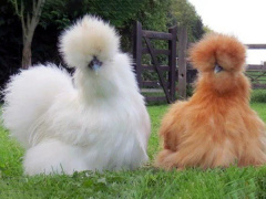 Ảnh bìa bài viết 870397