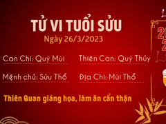 Ảnh bìa bài viết 870448