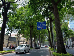Ảnh bìa bài viết 870588