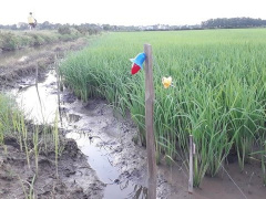 Ảnh bìa bài viết 870596
