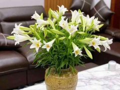 Ảnh bìa bài viết 870748