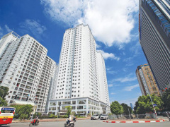 Ảnh bìa bài viết 871024
