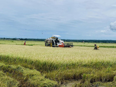 Ảnh bìa bài viết 871287