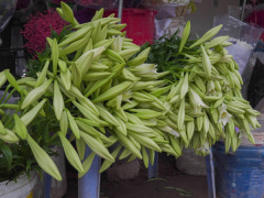 Ảnh bìa bài viết 871356