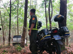 Ảnh bìa bài viết 871576