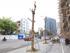 Ảnh bìa bài viết 871706