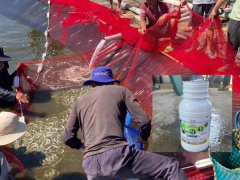 Ảnh bìa bài viết 871684