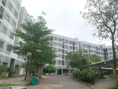 Ảnh bìa bài viết 871593