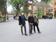 Ảnh bìa bài viết 871862