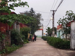 Ảnh bìa bài viết 871920