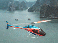 Ảnh bìa bài viết 872291