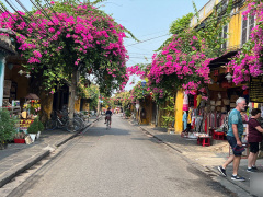 Ảnh bìa bài viết 872504