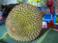 Ảnh bìa bài viết 872772