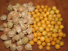 Ảnh bìa bài viết 872923