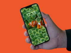 Ảnh bìa bài viết 872894