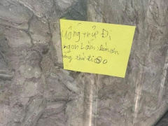 Ảnh bìa bài viết 873154