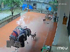 Ảnh bìa bài viết 873493
