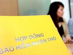 Ảnh bìa bài viết 873453
