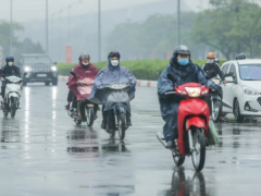Ảnh bìa bài viết 873306