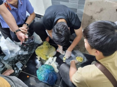 Ảnh bìa bài viết 874081