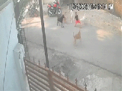 Ảnh bìa bài viết 874161
