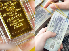 Ảnh bìa bài viết 874411