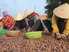 Ảnh bìa bài viết 874796