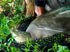 Ảnh bìa bài viết 875404