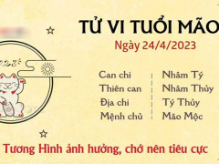 Ảnh bìa bài viết 875309