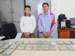 Ảnh bìa bài viết 875668