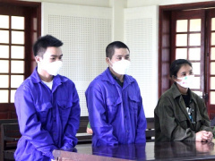 Ảnh bìa bài viết 876075