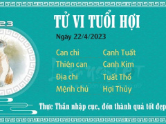 Ảnh bìa bài viết 876175