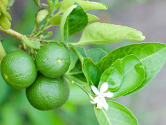 Ảnh bìa bài viết 876309