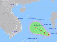 Ảnh bìa bài viết 877154