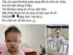 Ảnh bìa bài viết 877223