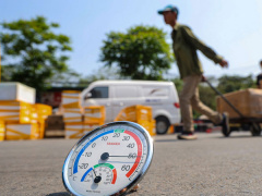 Ảnh bìa bài viết 877328