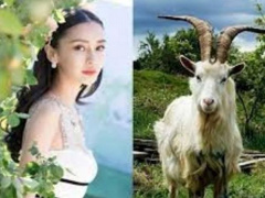 Ảnh bìa bài viết 877559