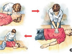 Ảnh bìa bài viết 877643