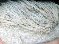 Ảnh bìa bài viết 877685
