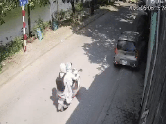 Post cover 877635