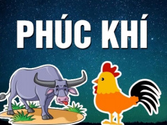 Ảnh bìa bài viết 877741