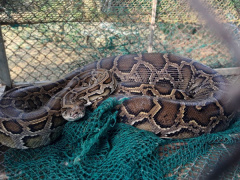 Ảnh bìa bài viết 877978