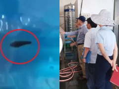 Ảnh bìa bài viết 878289