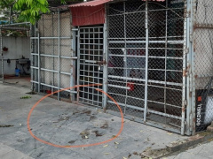 Ảnh bìa bài viết 878746