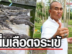 Ảnh bìa bài viết 879537