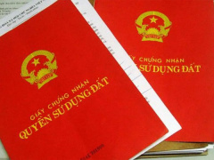 Ảnh bìa bài viết 879821