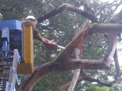Ảnh bìa bài viết 880288