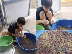 Ảnh bìa bài viết 880312