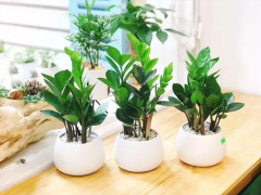 Ảnh bìa bài viết 880490
